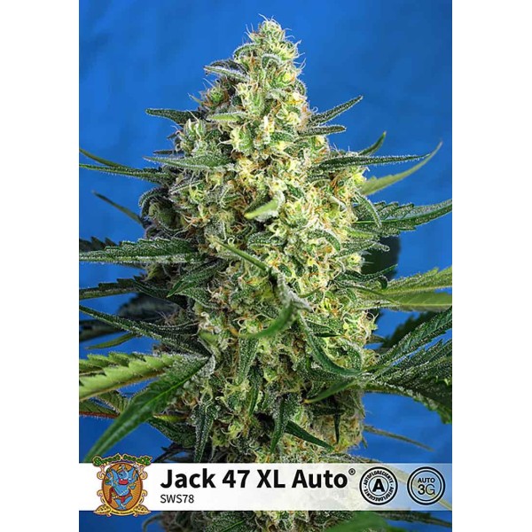 JACK 47 XL AUTO