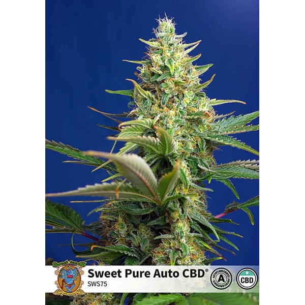 SWEET PURE AUTO CBD