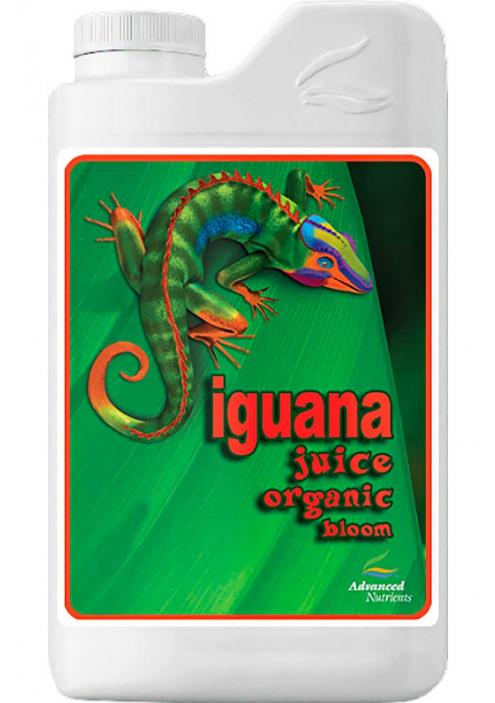 ORGANIC IGUANA JUICE BLOOM