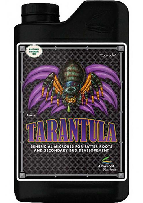 TARANTULA