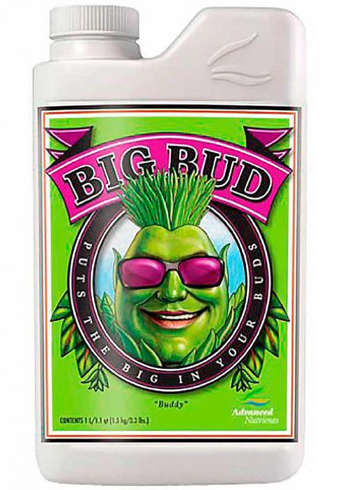 BIG BUD