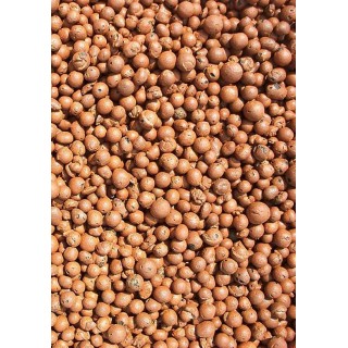 Substrato Arlita para cultivo | Cultivo no interior e no exterior