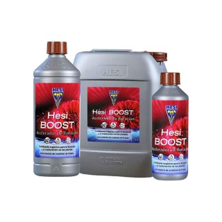 HESI BOOST