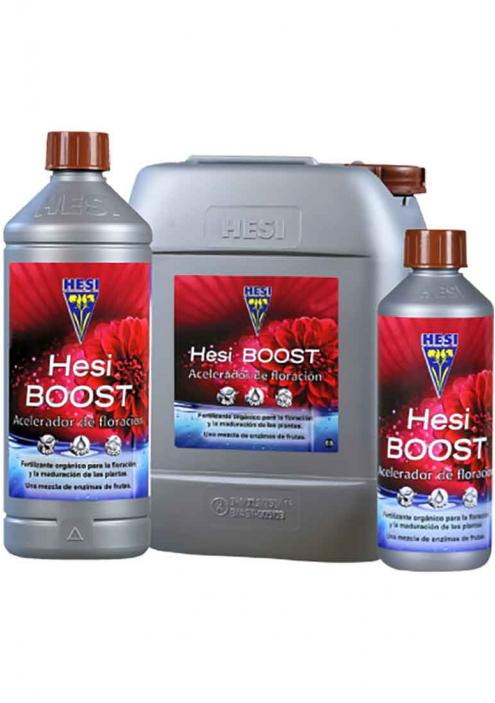 HESI BOOST