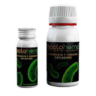 BACTOHEMP