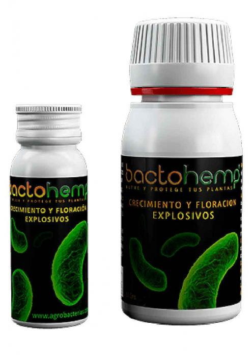 BACTOHEMP