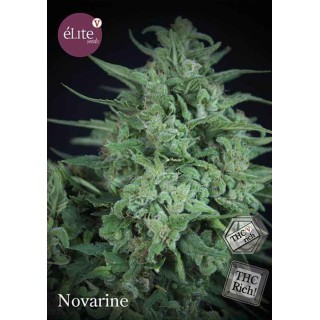 NOVARINE THCV