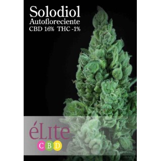 SOLODIOL AUTO
