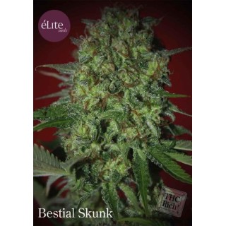 BESTIAL SKUNK