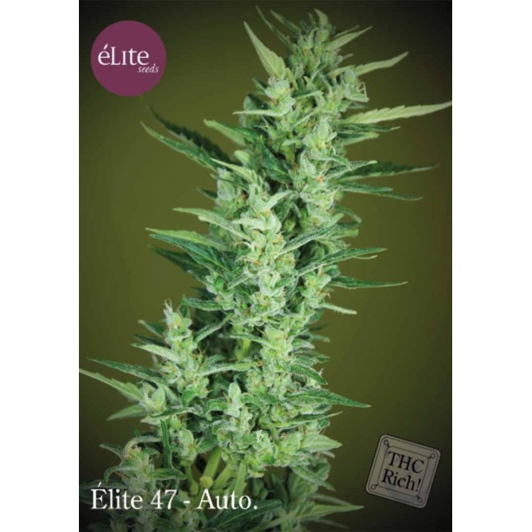 ELITE 47 AUTO