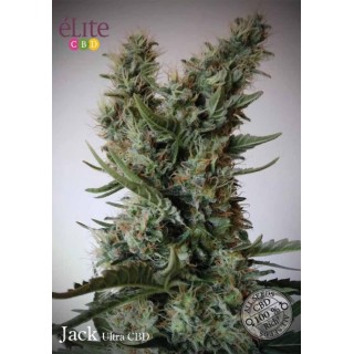 JACK ULTRA CBD