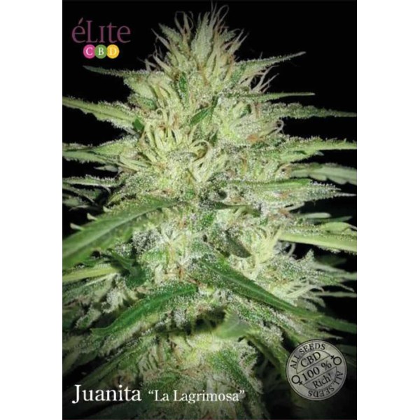 JUANITA LA LAGRIMOSA