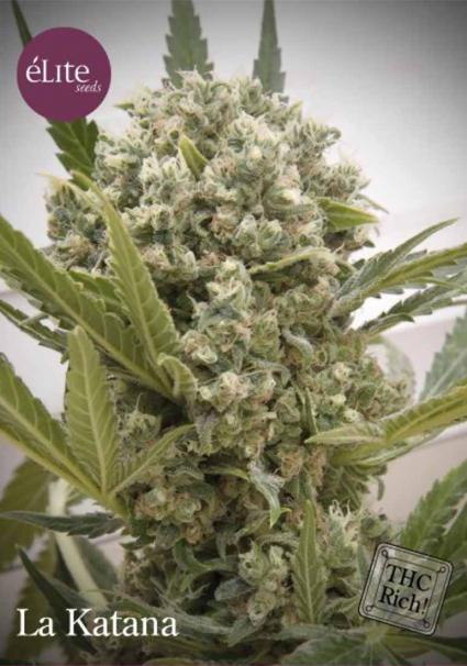LA KATANA