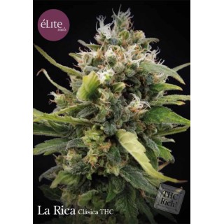 LA RICA CLÁSICA THC