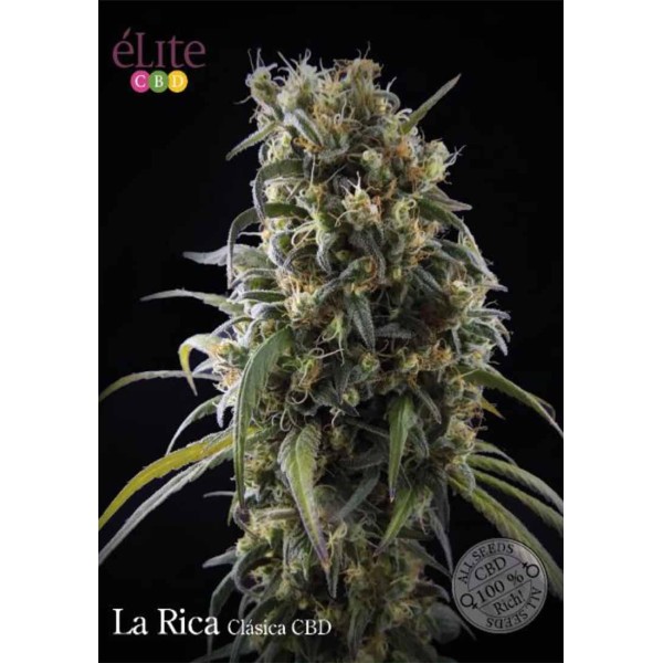 LA RICA CLÁSICA CBD