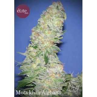 MOTA KHAN AFGHANA