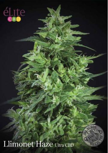 LLIMONET HAZE ULTRA CBD