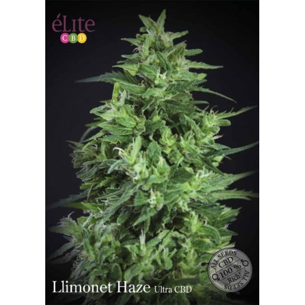 LLIMONET HAZE ULTRA CBD