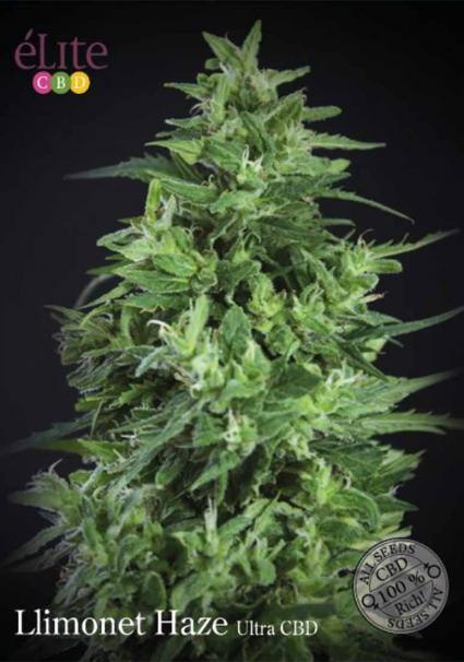 LLIMONET HAZE ULTRA CBD