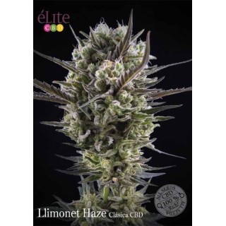LLIMONET HAZE CLÁSCIA CBD