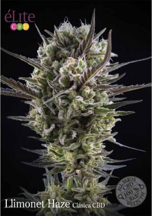 LLIMONET HAZE CLÁSCIA CBD