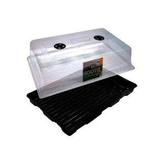 Cheap propagator