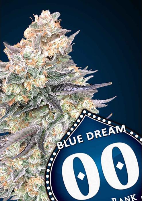 BLUE DREAM