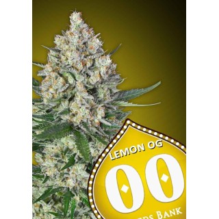Comprar Lemon OG da 00 Seeds | Sementes Lemon OG baratas