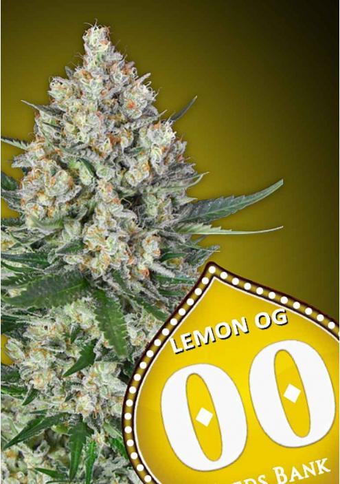 LEMON OG