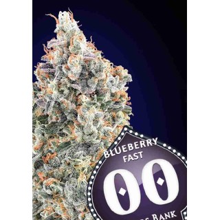 BLUEBERRY FAST