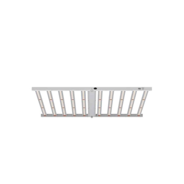 CHEAP PLATINUM KING LED