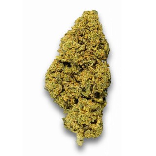 Amnesia CBD Flowers | Cosmic Blend Relax & Creativity | Only CBD Fans