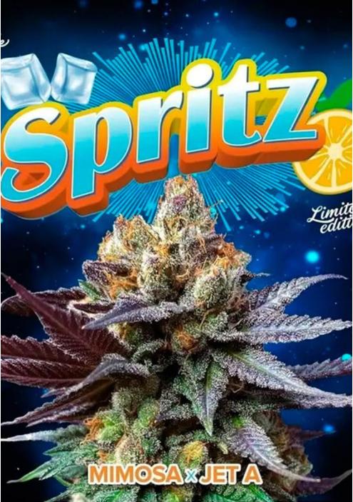 cannabis SPRITZ