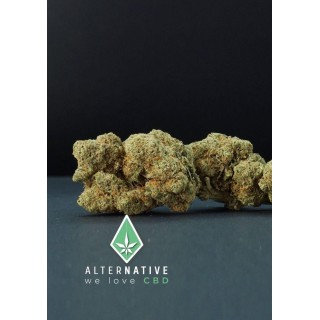 AMNESIA HY PRO CBD BUDS