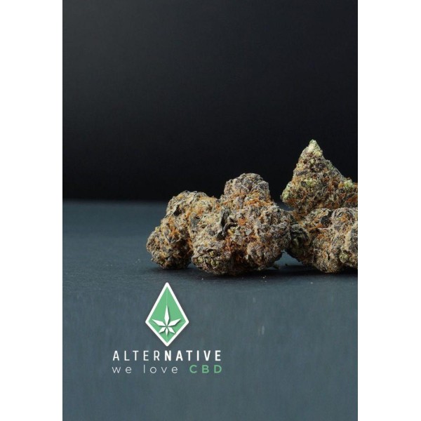PURPLE HAZE CBD BUDS