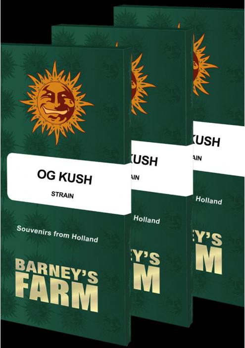 OG KUSH barneys