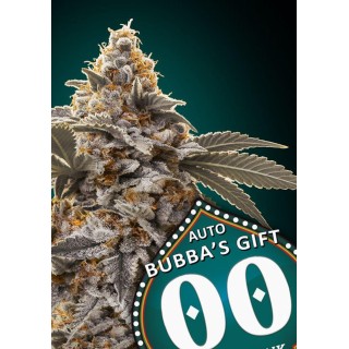 AUTO BUBBAS GIFT