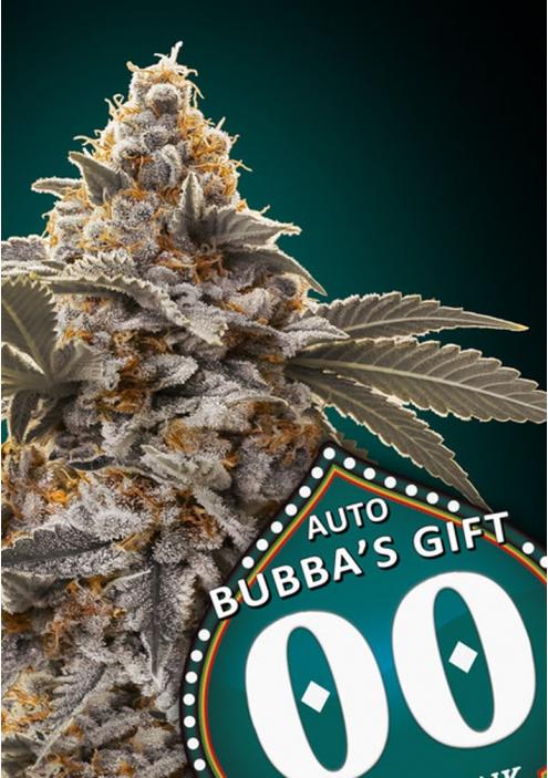 AUTO BUBBAS GIFT