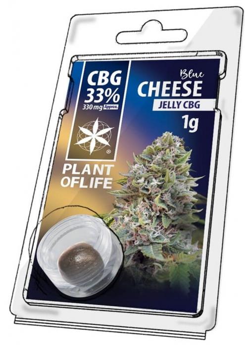 BLUE CHEESE CBG 33%