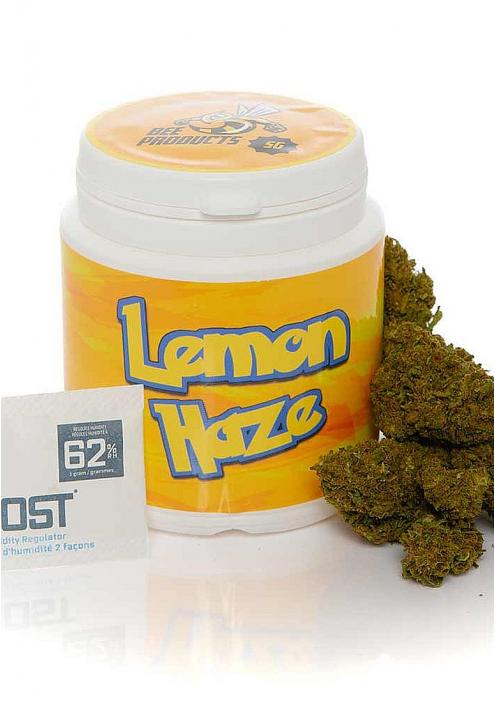 Lemon Haze CBD by CBD Bee