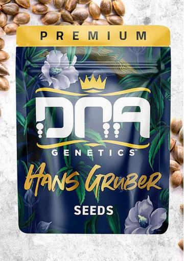 The Hans Gruber from DNA Genetics is an exceptional strain