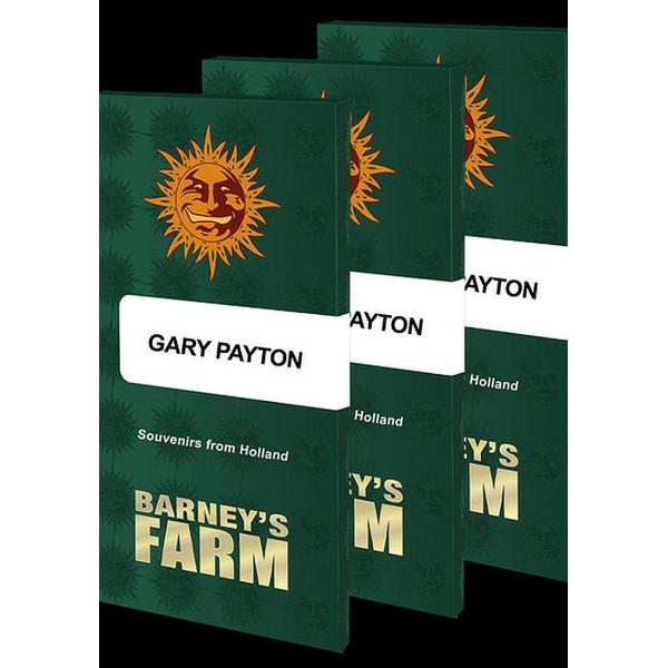 Gary Payton | Híbrido de canábis com predominância de sativa da Barney's