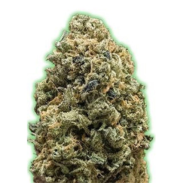 Monster Bruce Banner da Monster Genetics