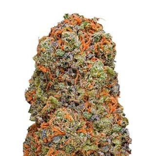 Sementes Monster Gelato de Monster Genetics