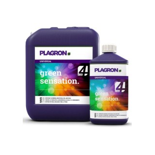Green Sensation da Plagron