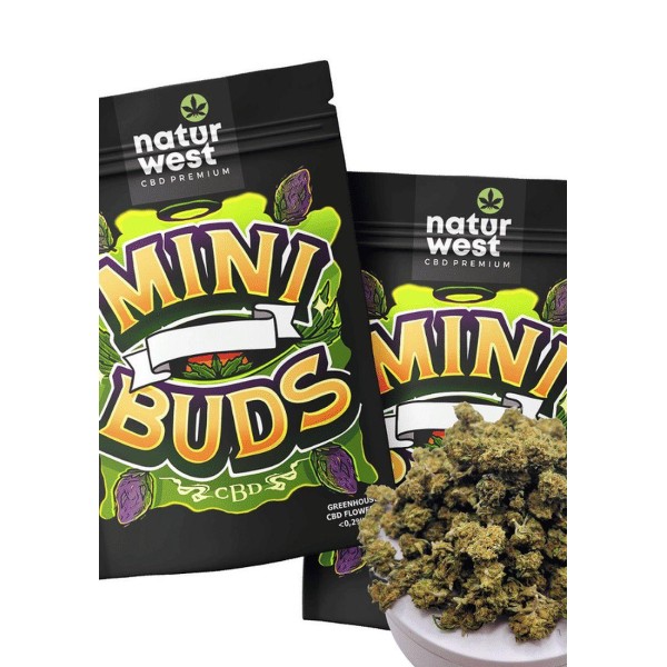 MINI BUDS ‘Royal Cheese’ by Naturwest