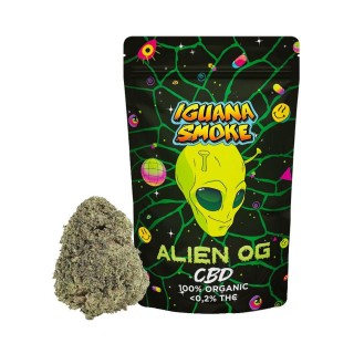 Alien OG Buds by Iguana CBD