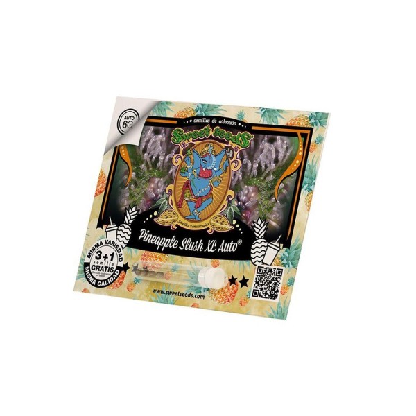 SEMENTES PINEAPPLE SLUSH XL AUTO
