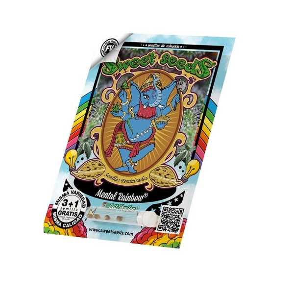 Black Muffin Fast Version de Sweet Seeds | Experiencia Natural