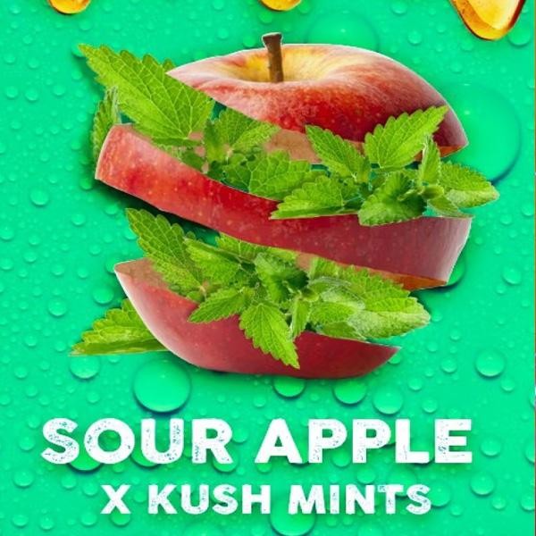 Apple Mints fem. Tramuntana Seeds